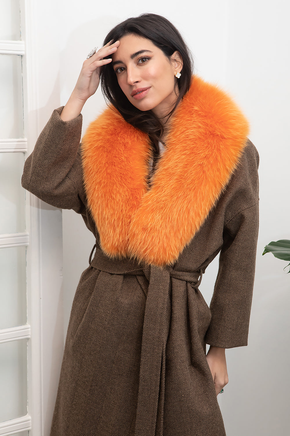 CUELLO NARANJA - Tacchy Official Online Store