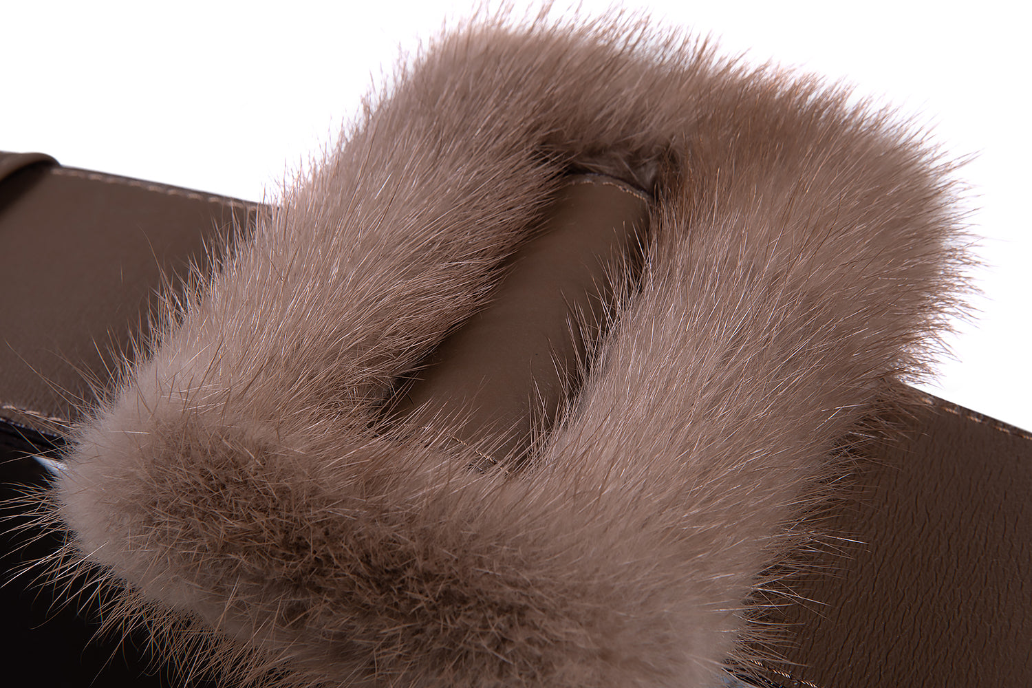 CINTURÓN HEBILLA TIERRA - Tacchy Official Online Store